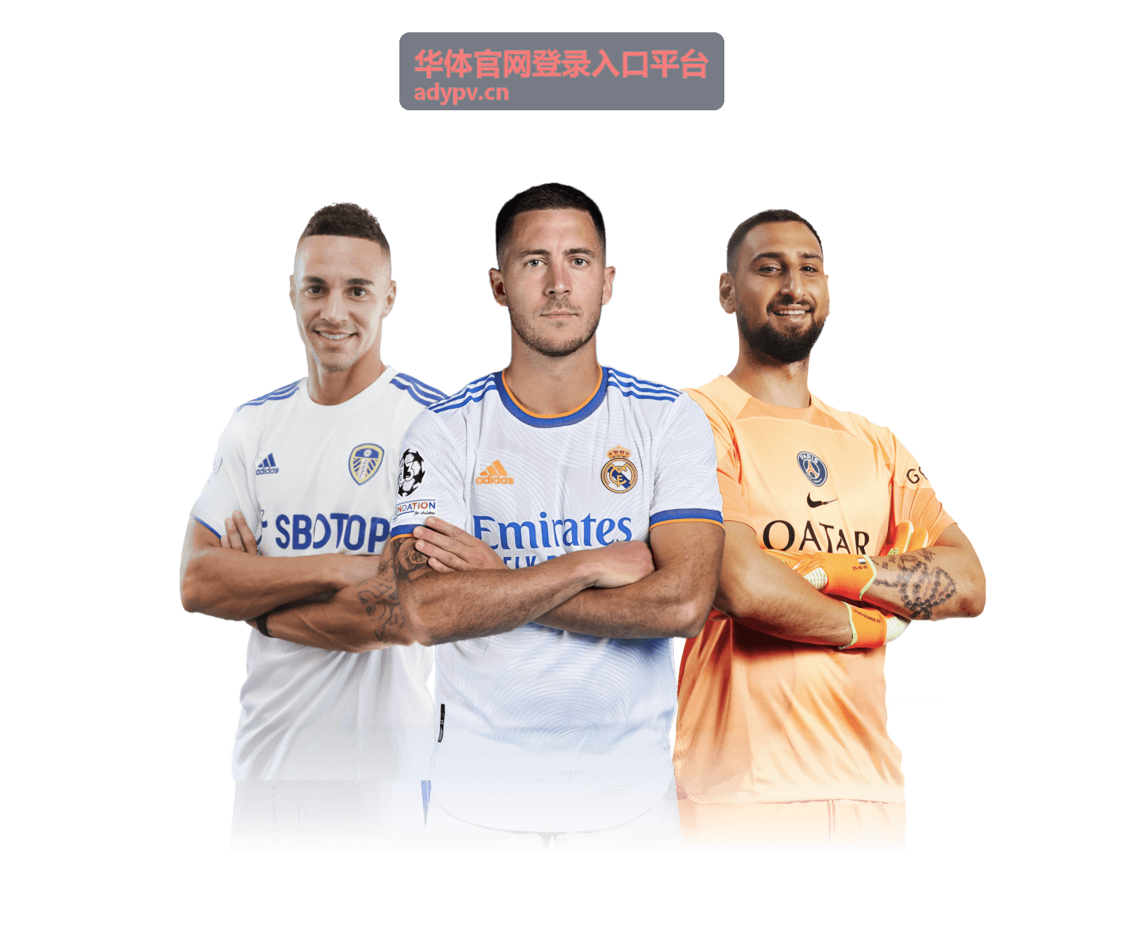华体官网登录入口平台赛事服务与登录入口展示图